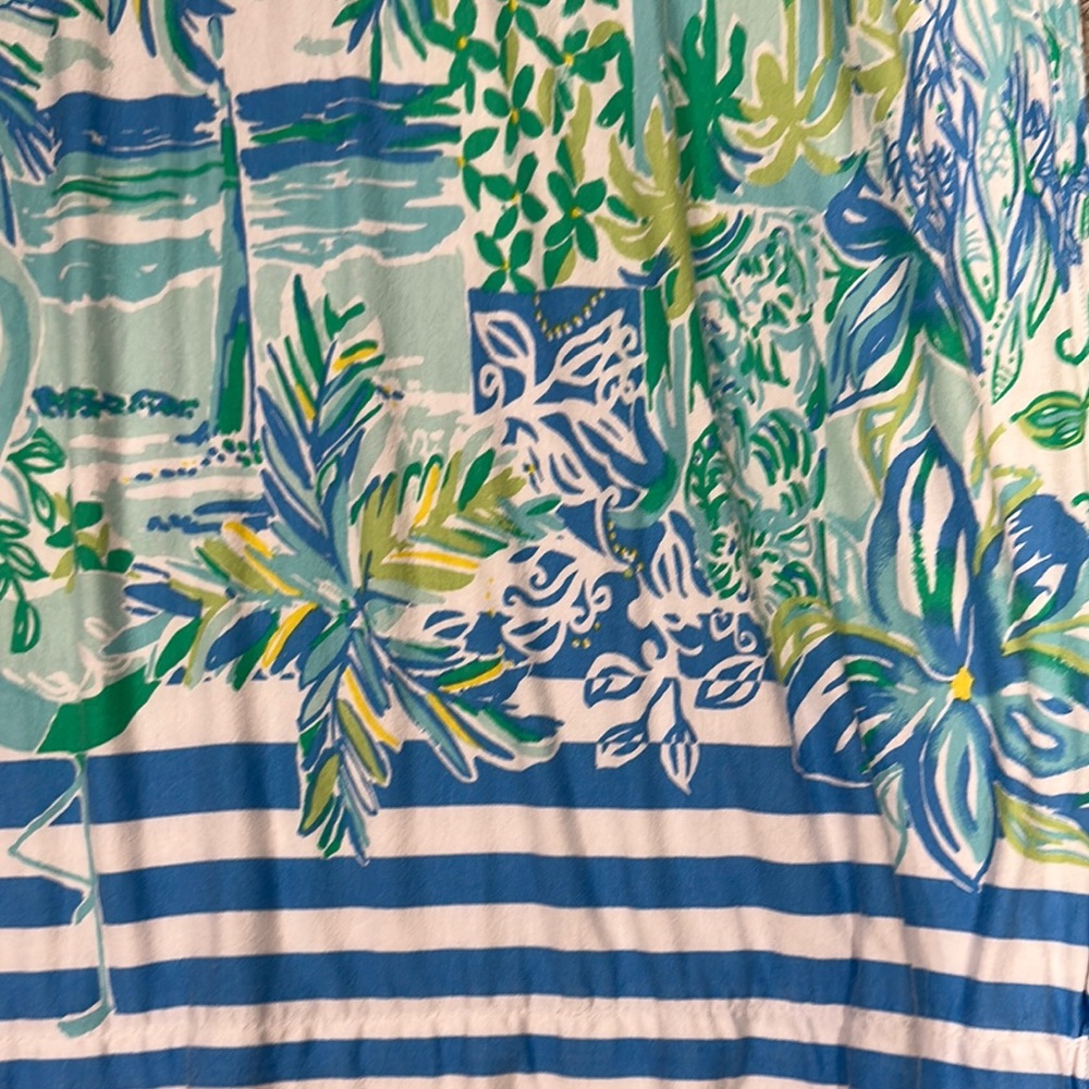 Lilly Pulitzer Green and Blue Maxi Dress - Picture 3 of 6